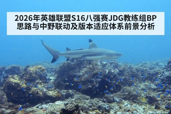 2026年英雄联盟S16八强赛JDG教练组BP思路与中野联动及版本适应体系前景分析（j9 game）